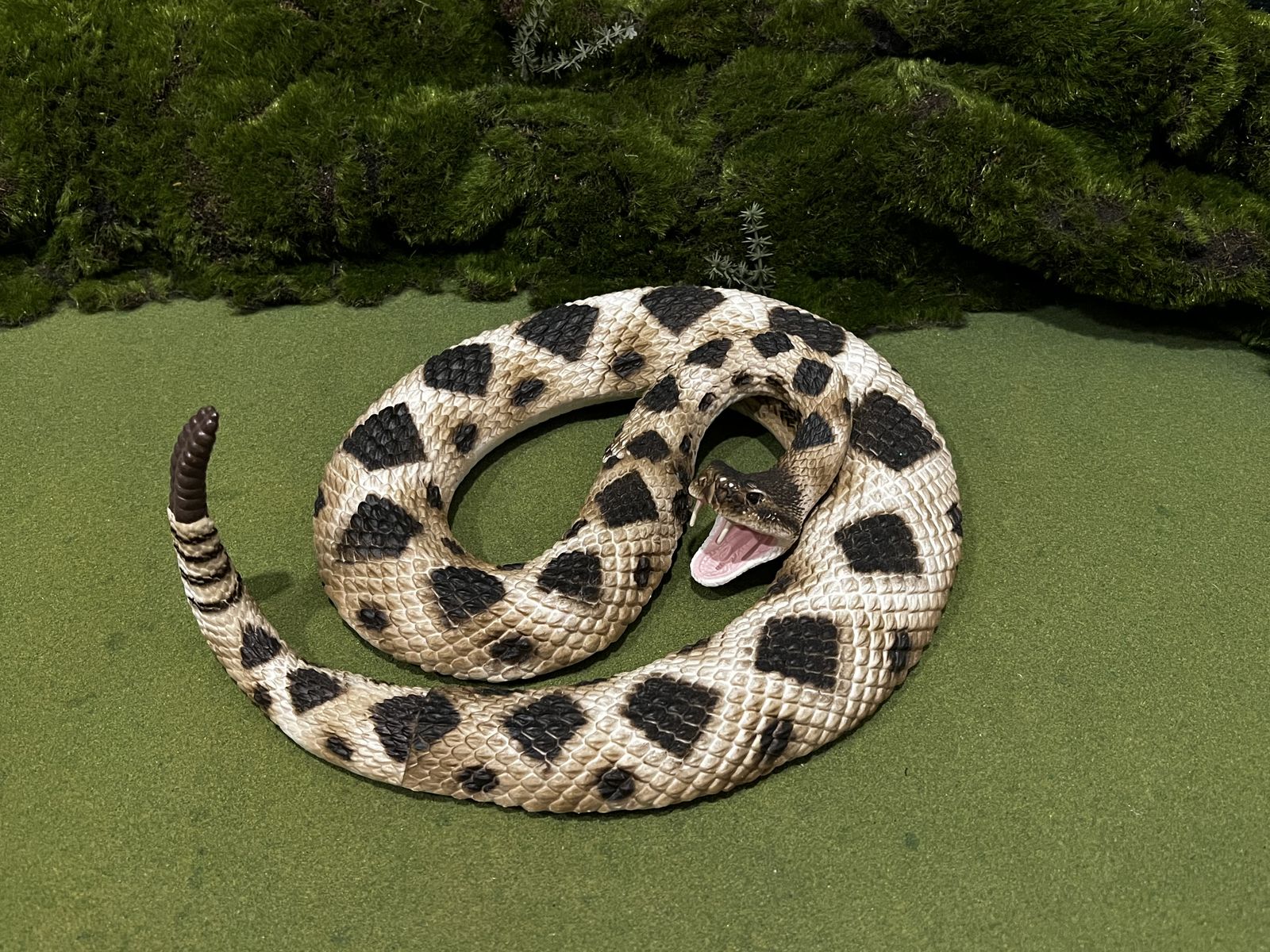 Realistic Diamondback Rattlesnake juvenile Lifesize