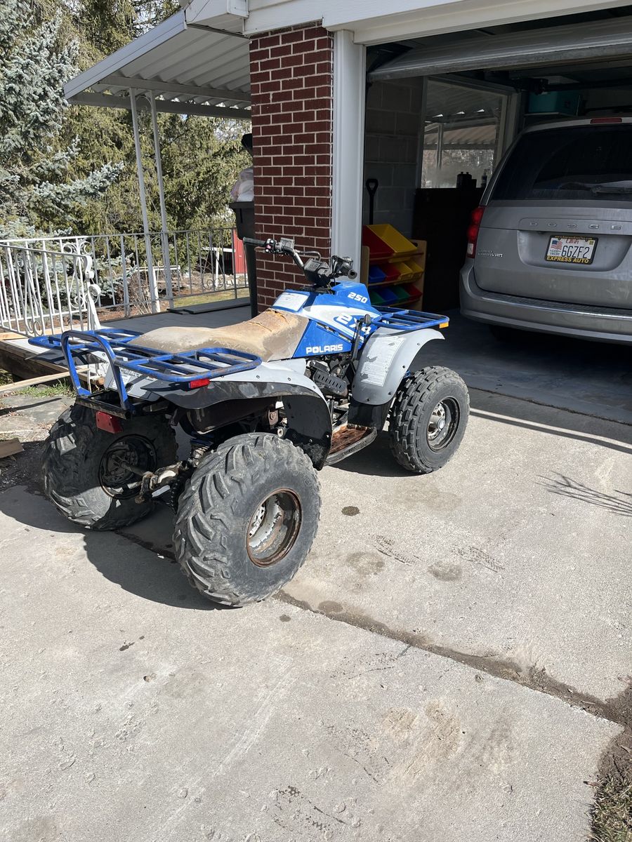 Polaris 250 2 stroke