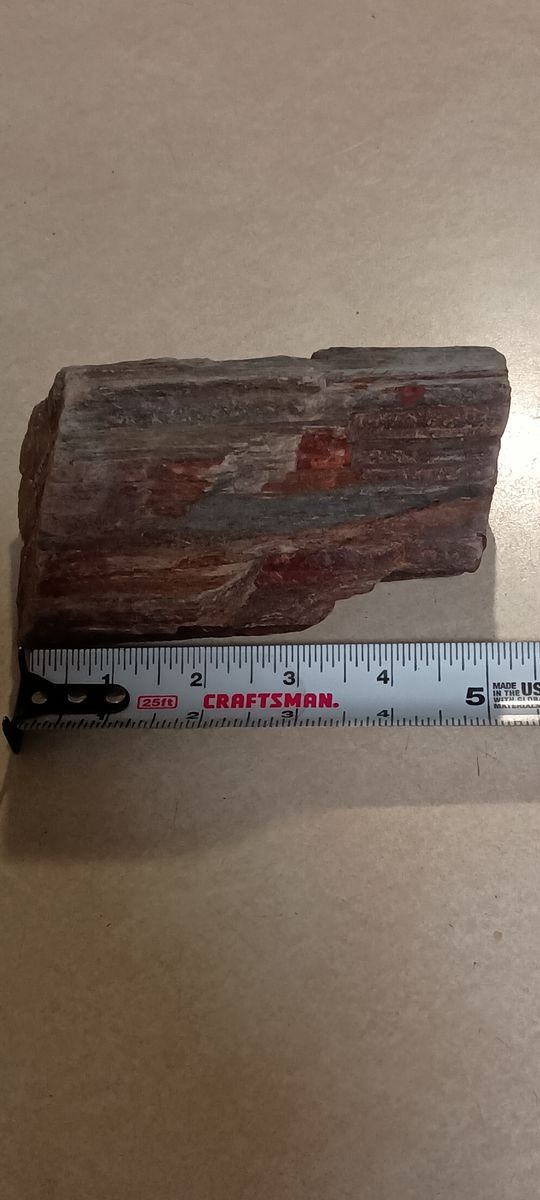 Nice peace of petrified wood