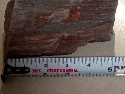 Nice peace of petrified wood