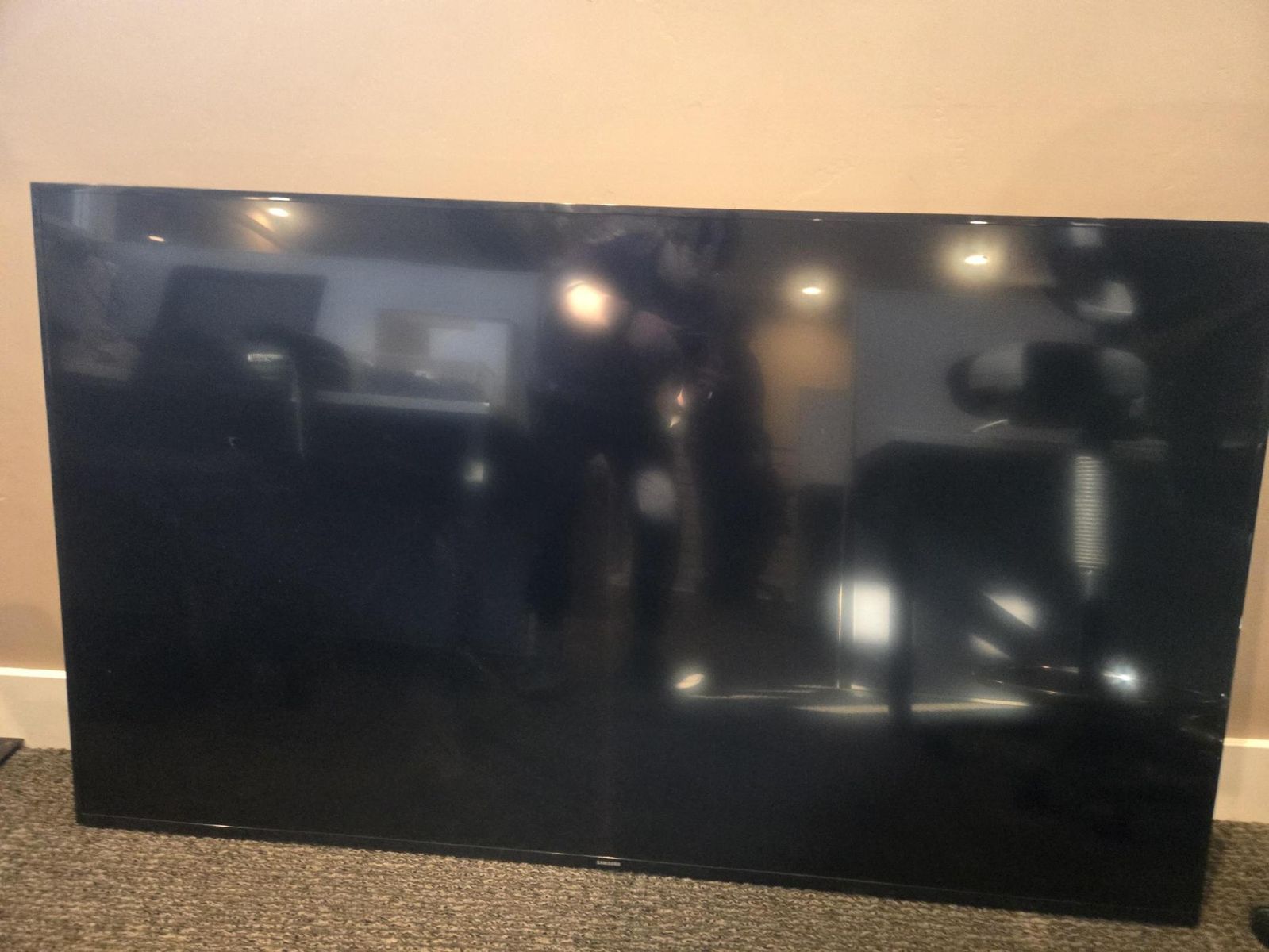 65" TV / Monitor with Wall-Mount Hardware