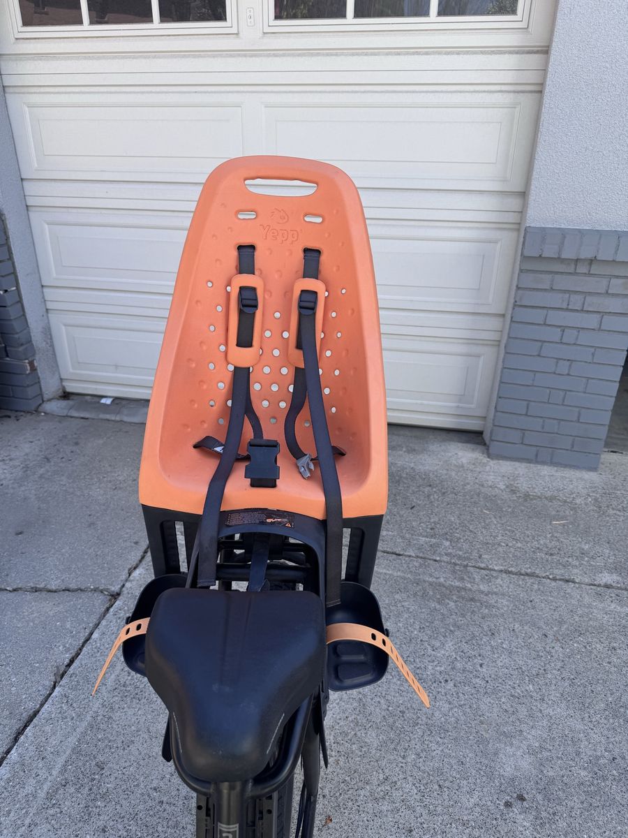 Thule Yepp Maxi Child Seat