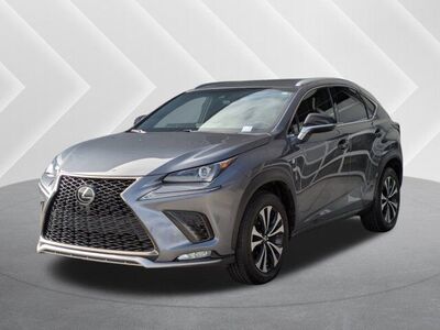 2018 Lexus NX 300 F SPORT