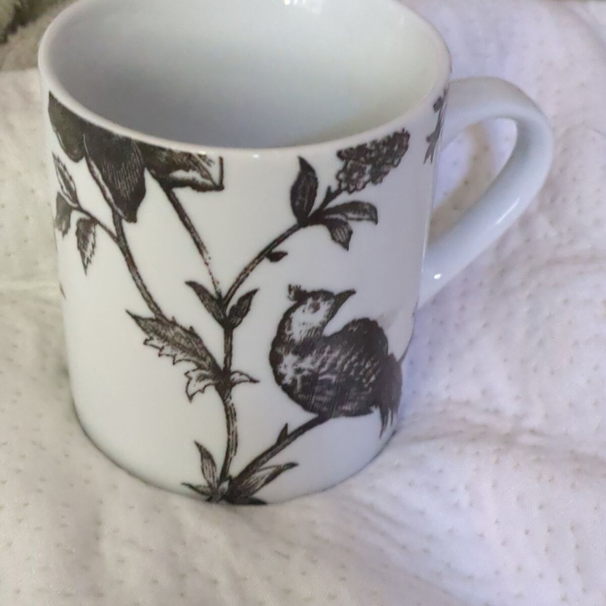 Olga cassini bird mug