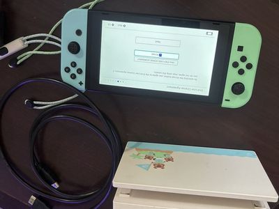 Nintendo Switch Lite Console Animal Crossing Edition with Dock, 3 Controllers, and Accessories