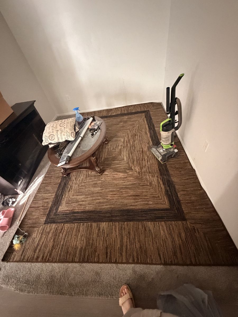 Brown living room rug