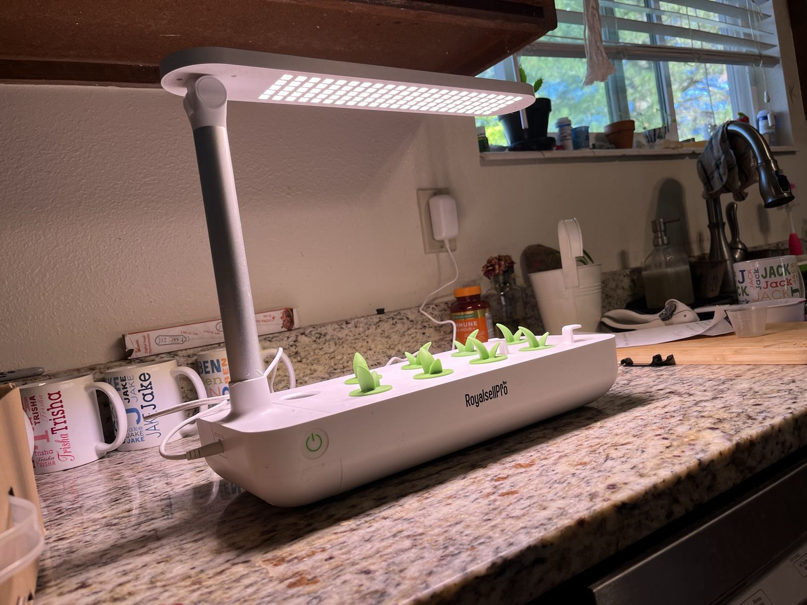 Hydroponic grow box system.  I have 2 available for sale.  