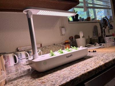 Hydroponic grow box system. I have 2 available for sale.