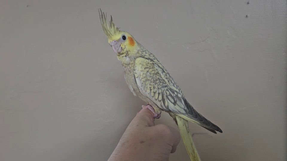 Main image 3