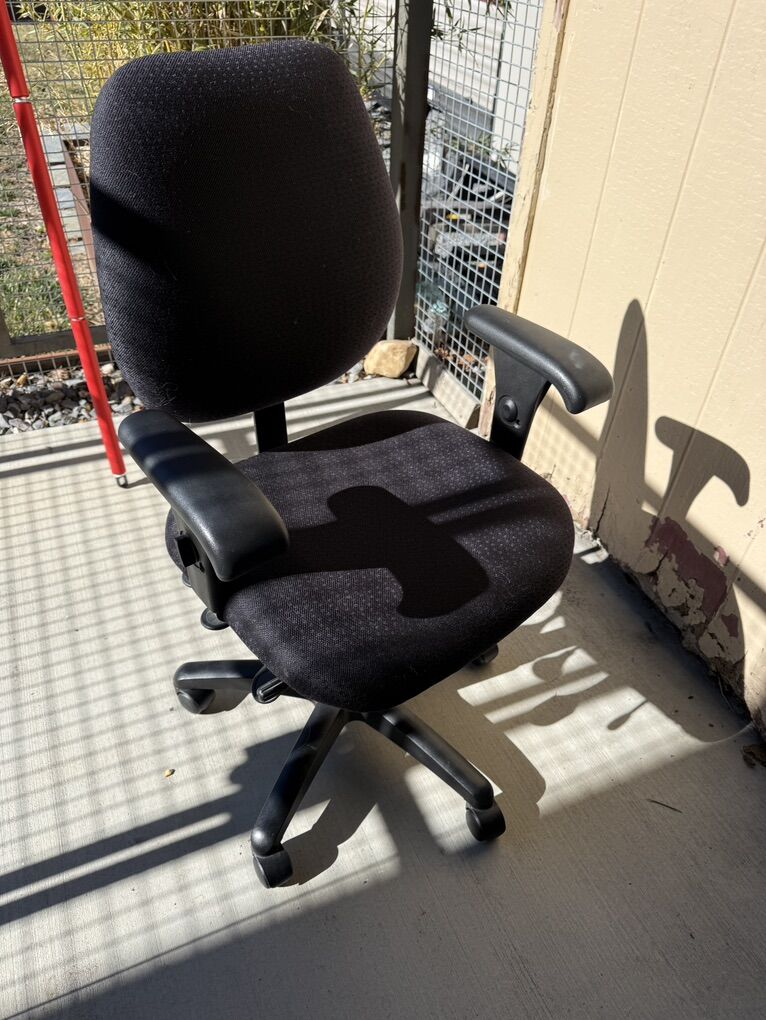 Task Chair Ergonomic