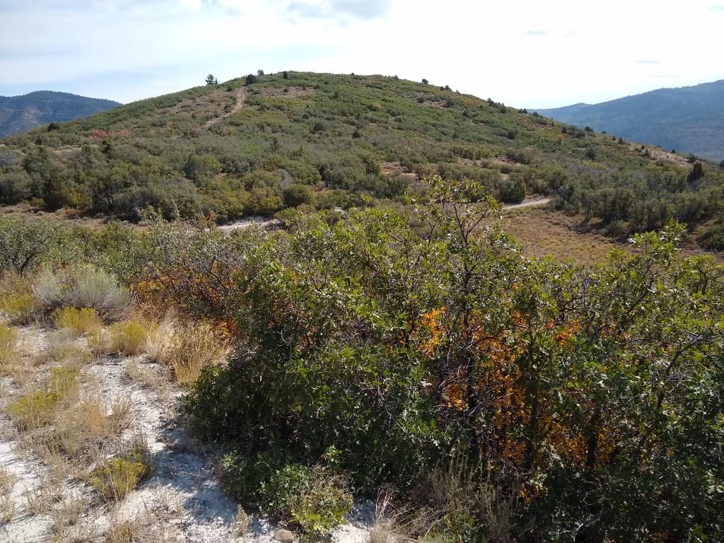 Main image 2