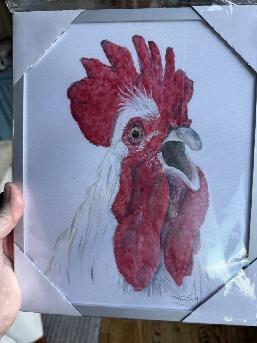 Framed Watercolor Painting of a Rooster by Kim Smith