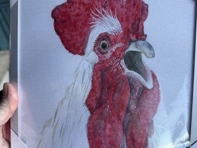 Framed Watercolor Painting of a Rooster by Kim Smith
