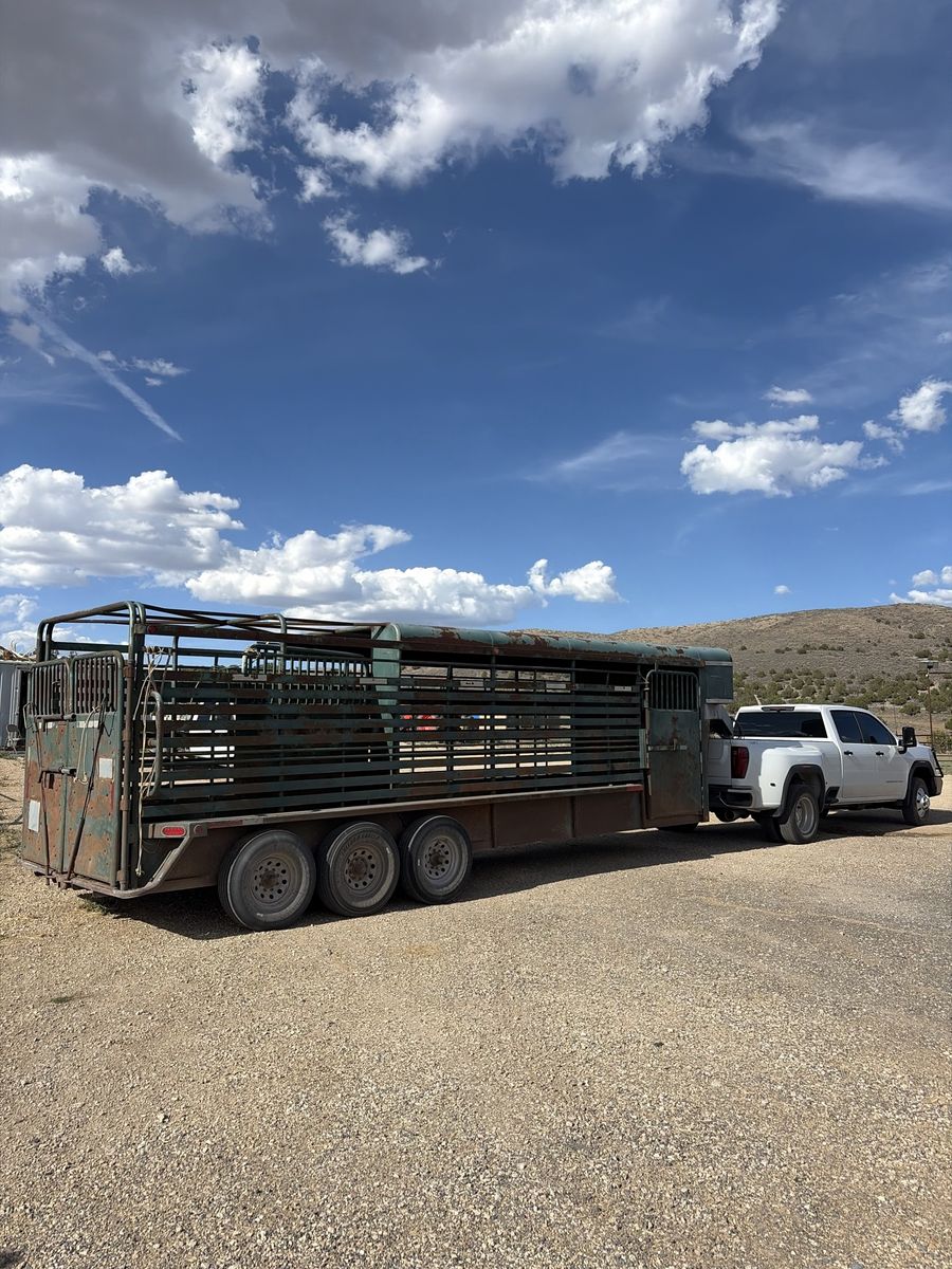 PAIU 2013 stock trailer 26 ft! 