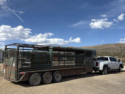 PAIU 2013 stock trailer 26 ft!