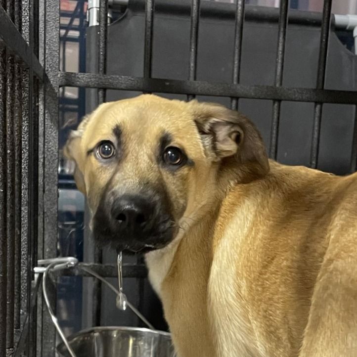 Hello my name is Swish