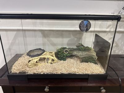 Glass Reptile Terrarium Tank with Accessories