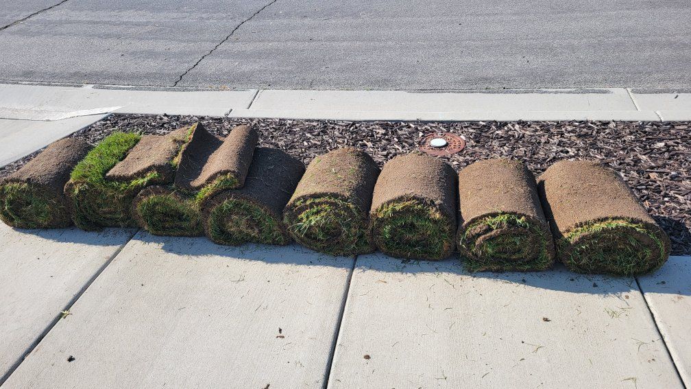Fresh Sod Rolls - Instant Lawn Solution for Your Yard & Garden Projects