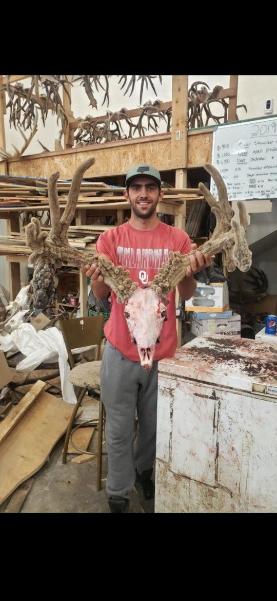 General Deer hunt