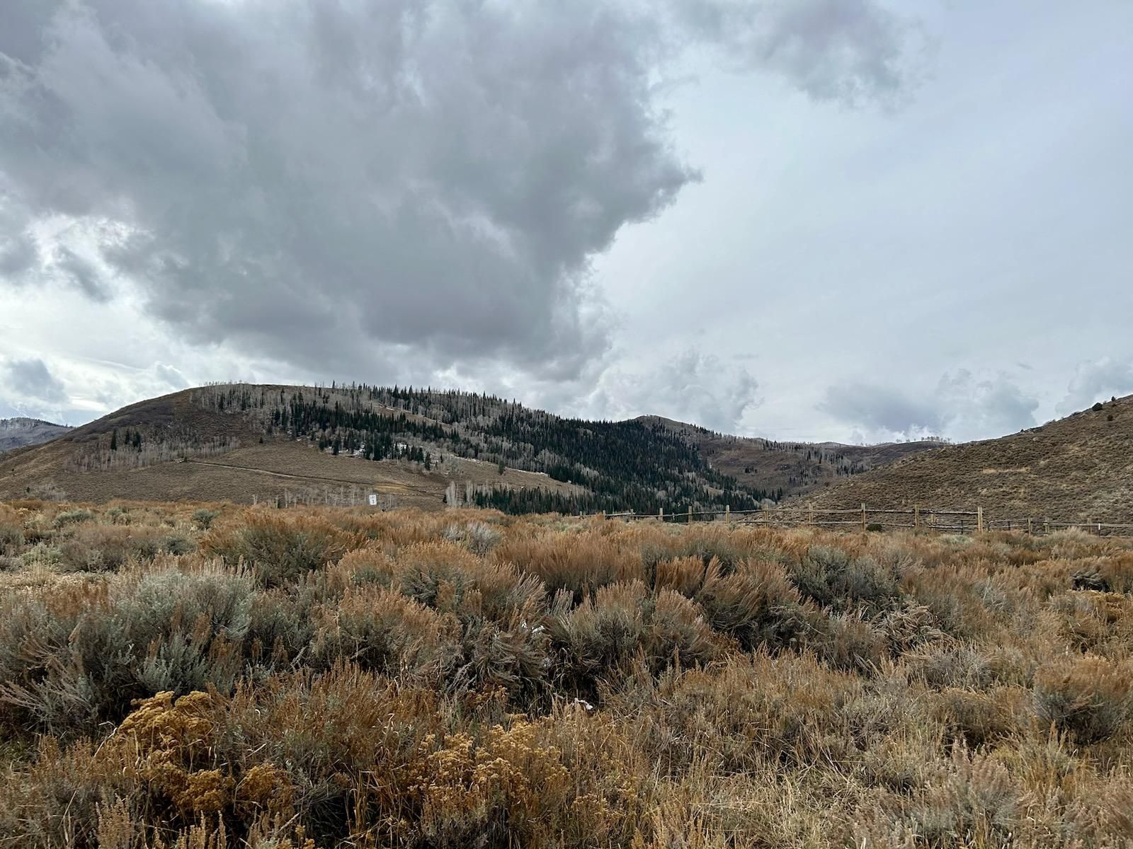 Main image 6