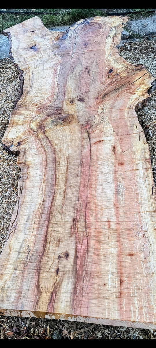 Gorgeous live edge Maple Wood slab 36" w 9 ft L 2.5 thick