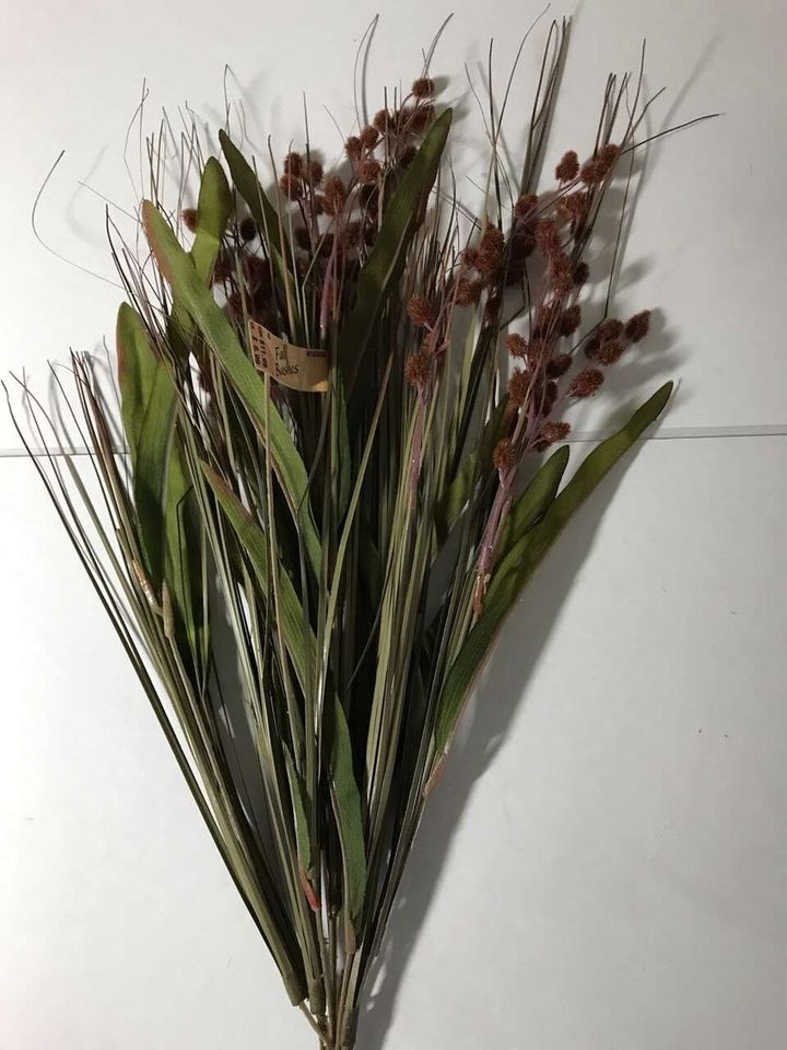 Main image 5