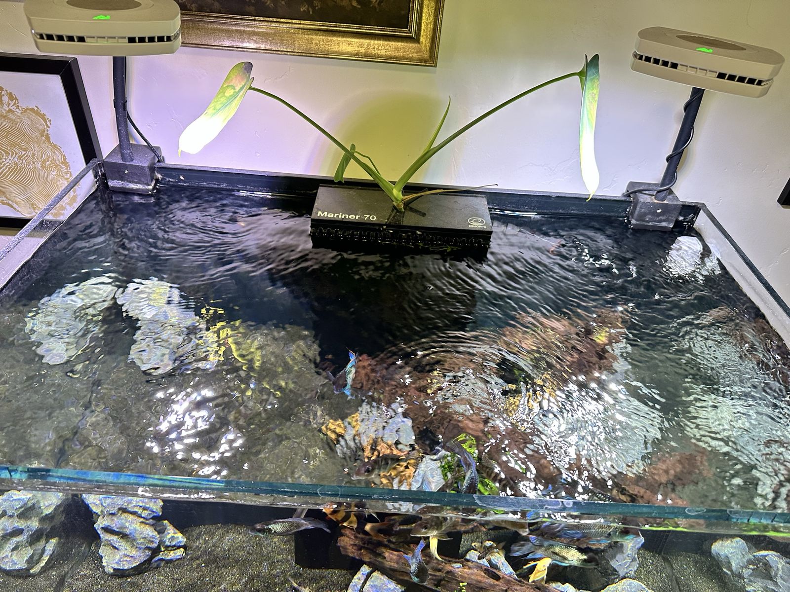 Main image 4