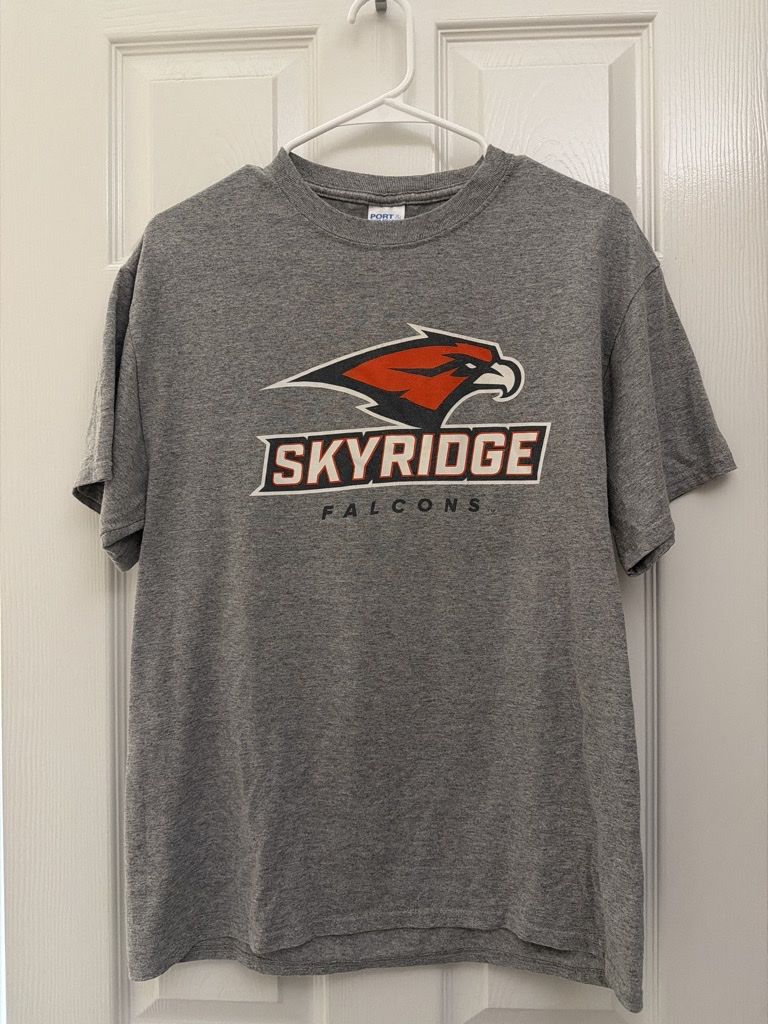PORT & COMPANY Core Blend Skyridge Falcons Graphic T-Shirt - Gray, Size M