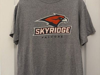PORT & COMPANY Core Blend Skyridge Falcons Graphic T-Shirt - Gray, Size M