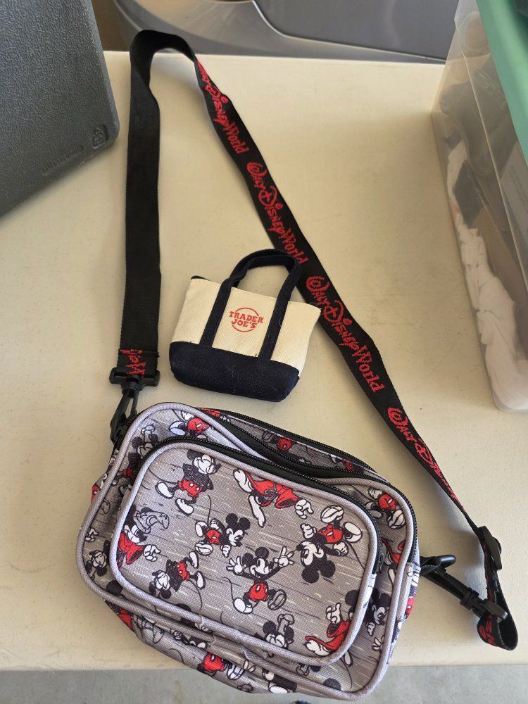 Disney Purse + Trader Joe's Bag! $25 for borh.