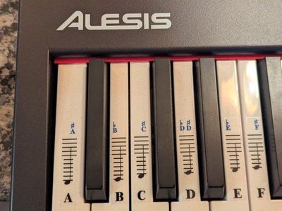 Electronic Keyboard - Alesis Recital