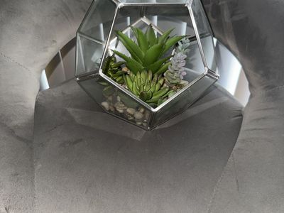 Fake Terrarium