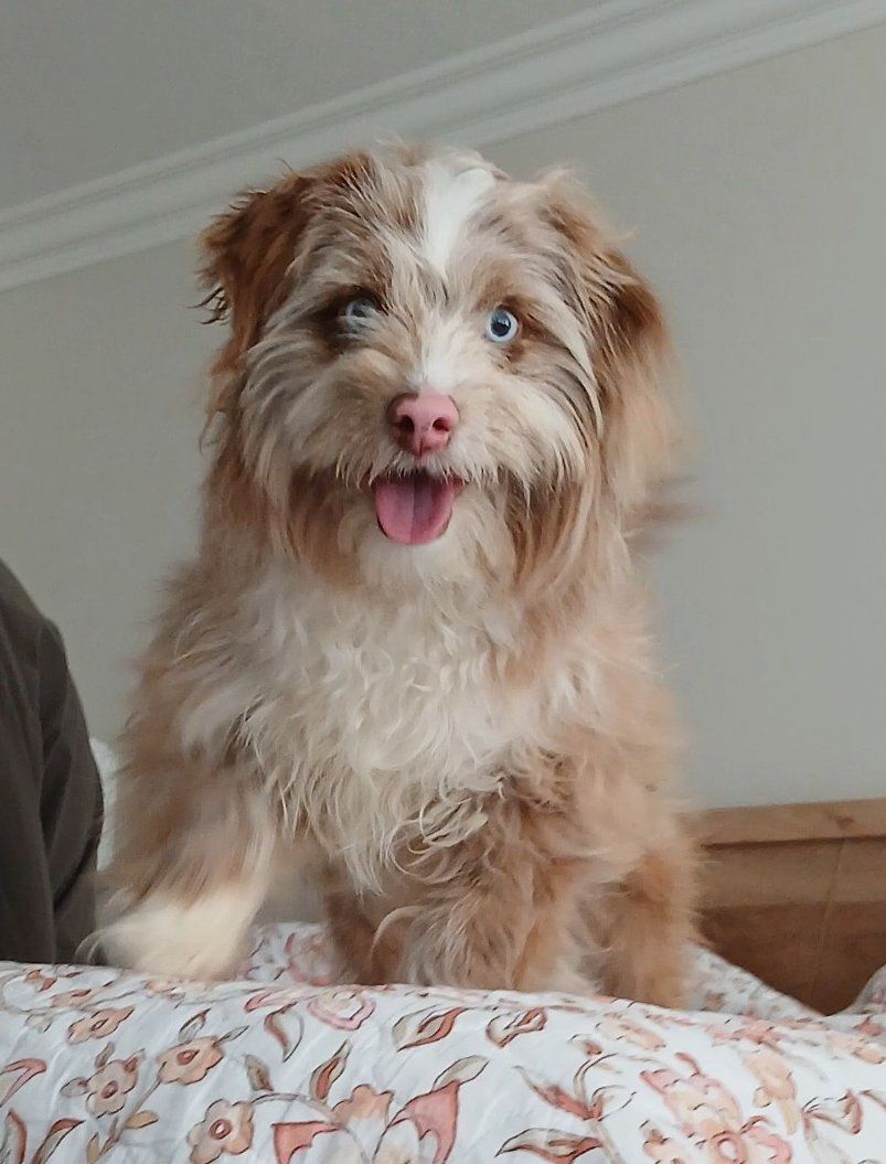 Finn's searching for his forever family