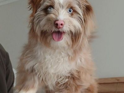 Finn's searching for his forever family