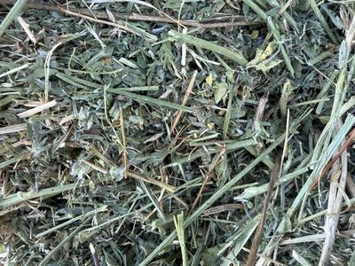 Alfalfa Hay