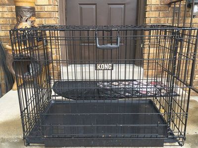 KONG 36-inch Black Wire Dog Crate Pet Kennel with Removable Tray - Used, Good Condition