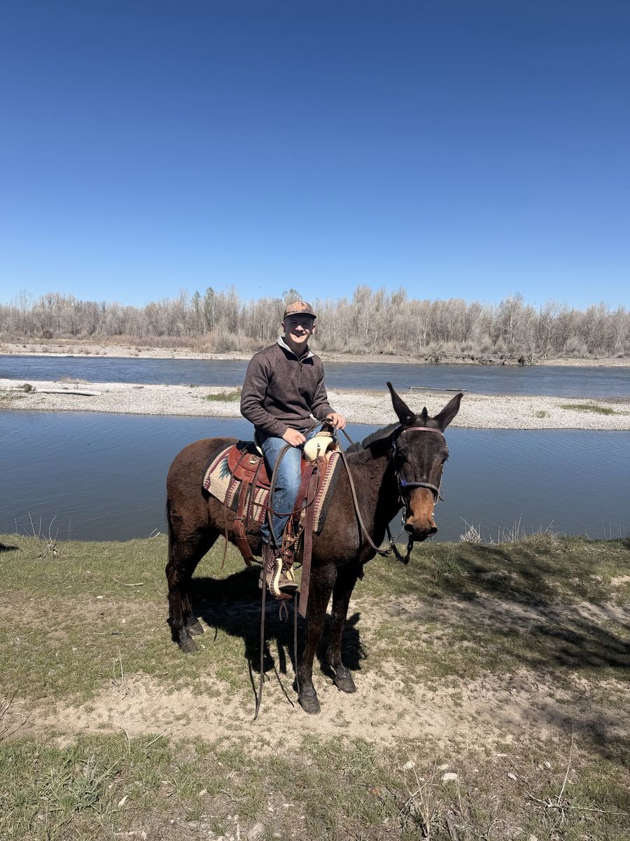 Good Young Little Molly With A good Start