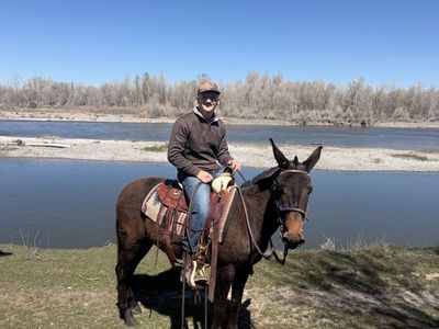 Good Young Little Molly With A good Start