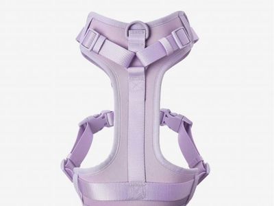 Pet harness