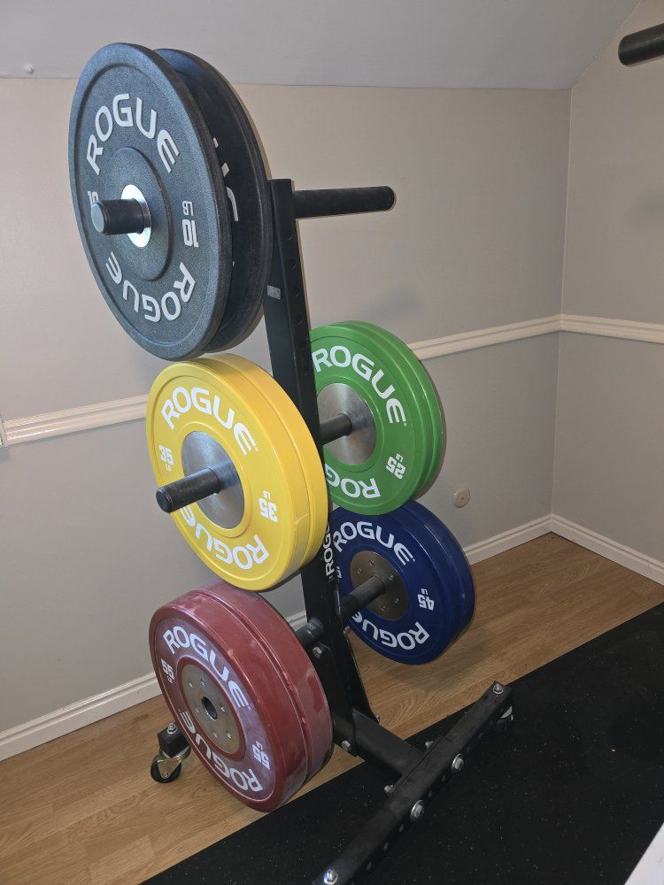 rogue bumper plates and rolling rack