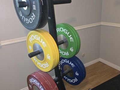 rogue bumper plates and rolling rack