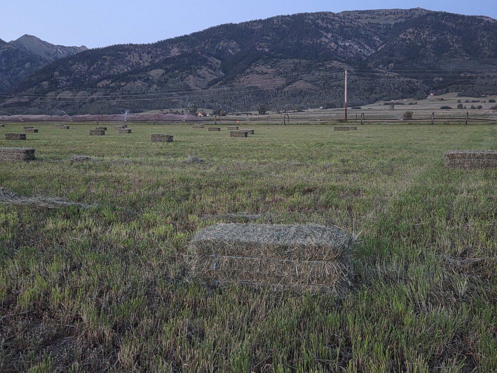 Main image 3