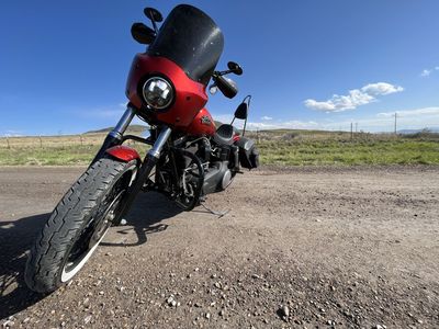 2013 Harley Davidson Street Bob