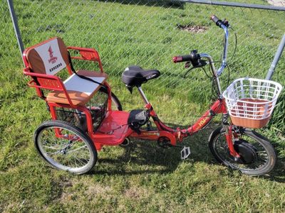 Electric tricycle