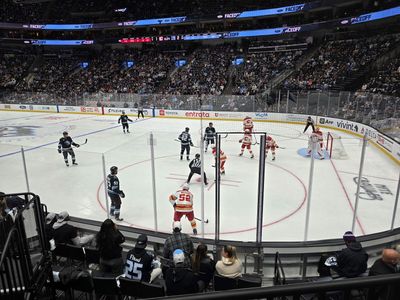 FRIDAY 5/1, 2nd Row vs Las Vegas Golden Knights - AWESOME VIEW, sit right behind Ryan and his Guests