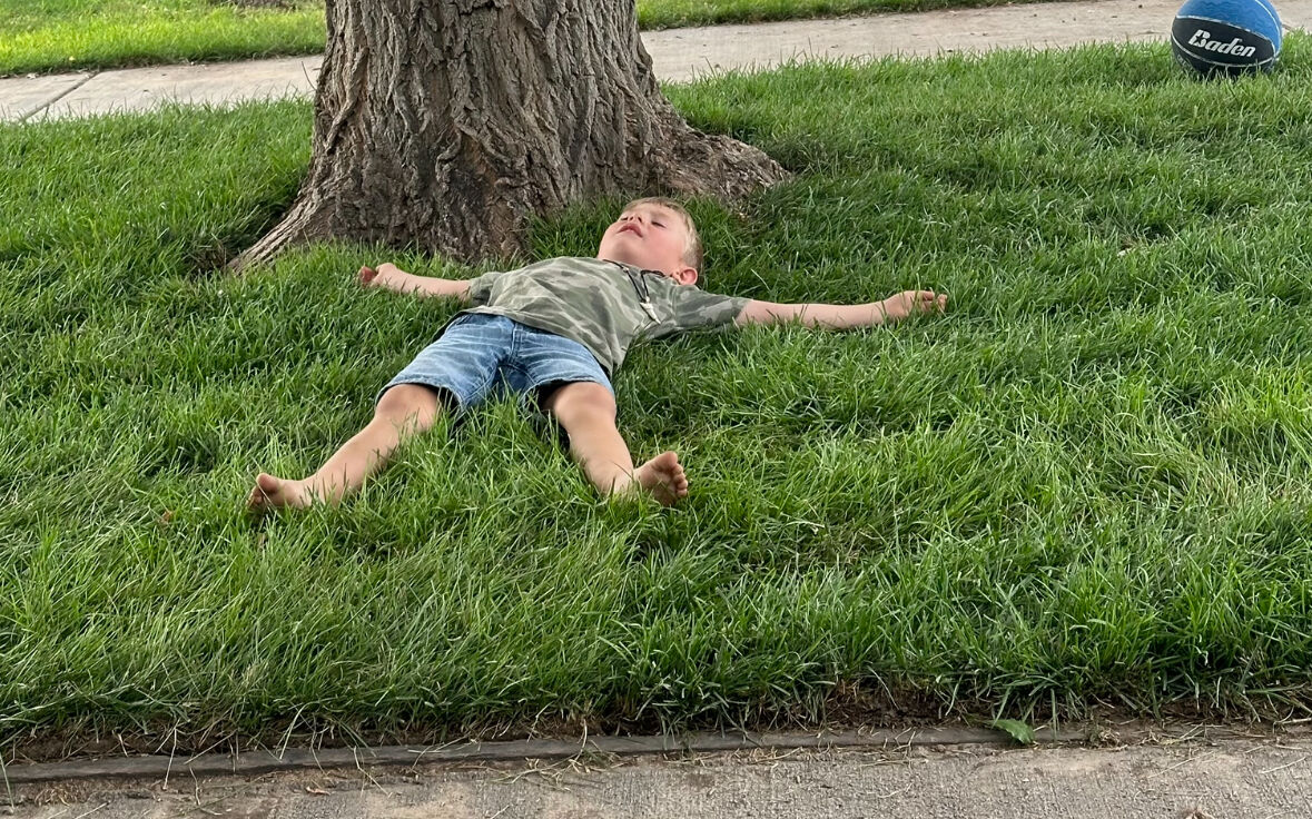 Sod - Kentucky Blue Grass