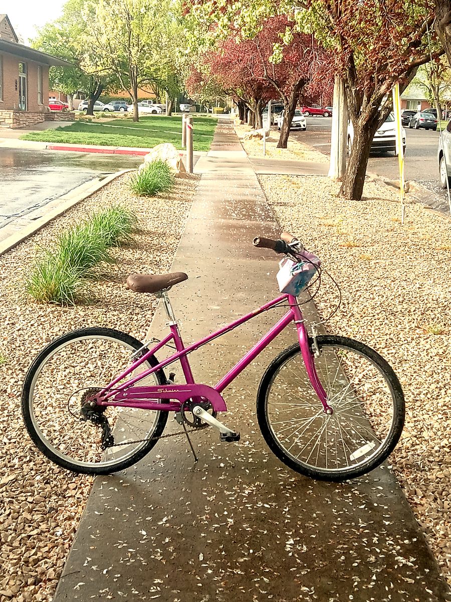 24' Girl's Schwinn mifflin . Purple