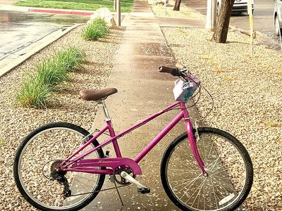 24' Girl's Schwinn mifflin . Purple