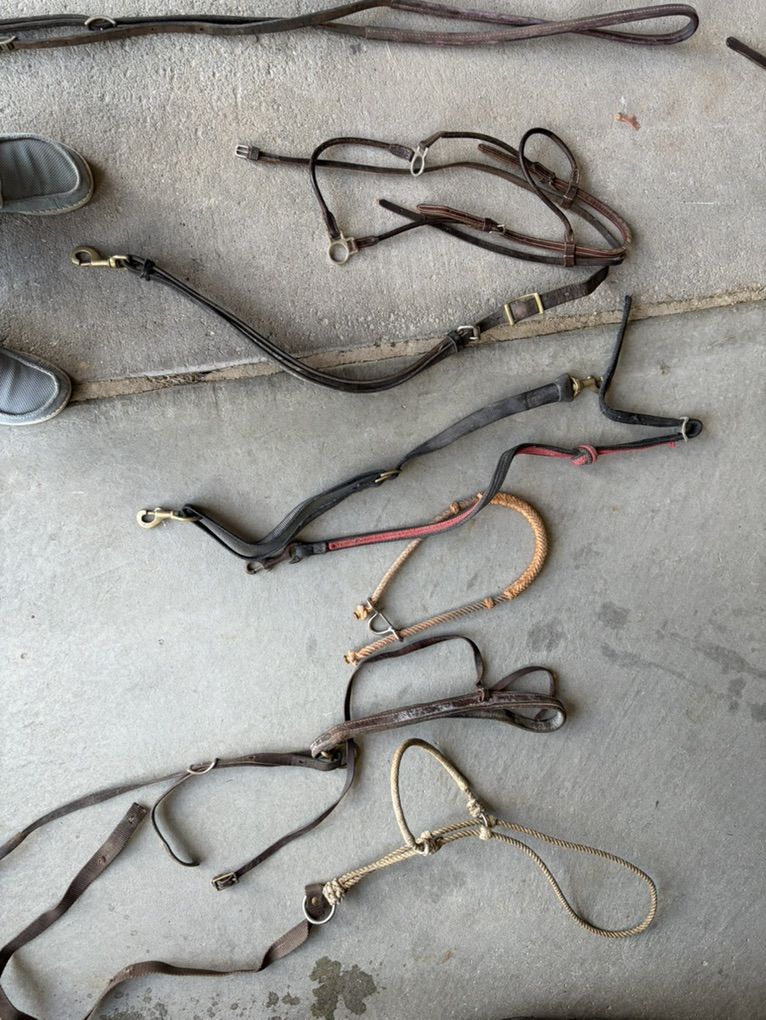 Tack Room Clean Out