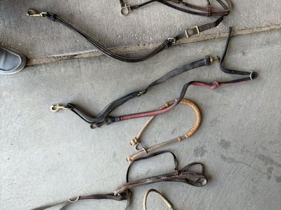 Tack Room Clean Out